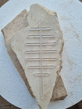 Load image into Gallery viewer, ACRYLIC HERB TRELLIS