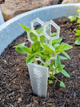 Load image into Gallery viewer, ACRYLIC HERB TRELLIS