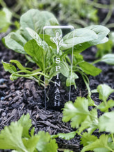 Load image into Gallery viewer, ACRYLIC HERB STAKES - ICON - 20 PACK