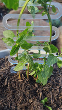 Load and play video in Gallery viewer, ACRYLIC HERB TRELLIS
