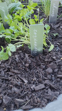Load and play video in Gallery viewer, ACRYLIC HERB STAKES - CURIVE - 6 PACK